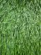 Штучна трава CCGrass Ultrasport 50 Ultrasport 50-4 фото 2