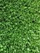 Штучна трава CCGrass YEll 15 (ITF certificate) YEll 15 фото 5