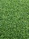 Штучна трава CCGrass Green E 12 Green E 12 фото 4